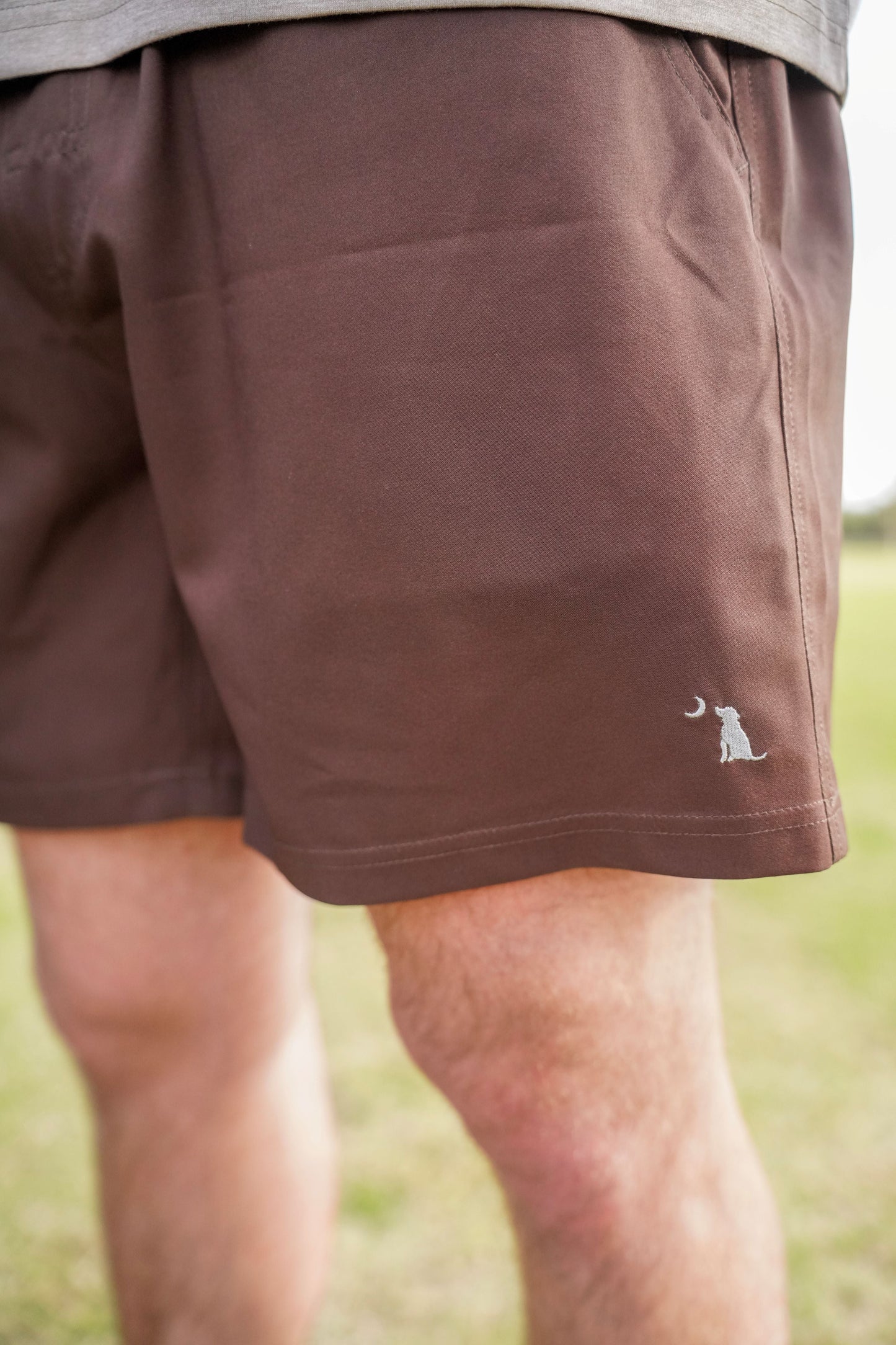 Local Boy Volley Shorts - Espresso