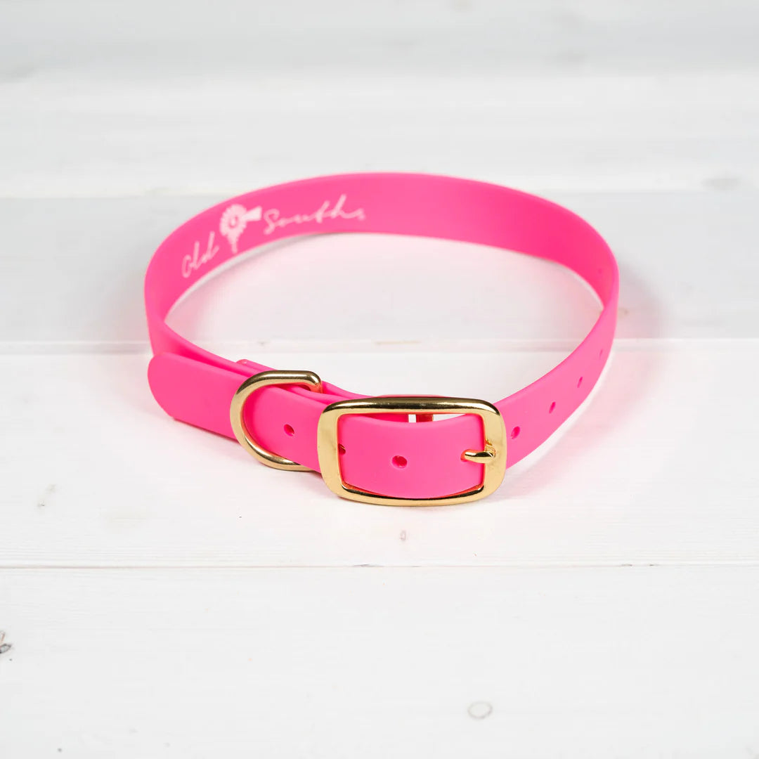 Old South Good Boy Dog Collar