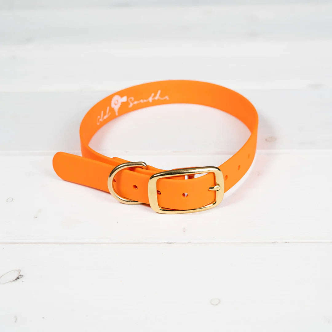 Old South Good Boy Dog Collar
