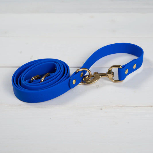 Old South Good Boy Dog Leash